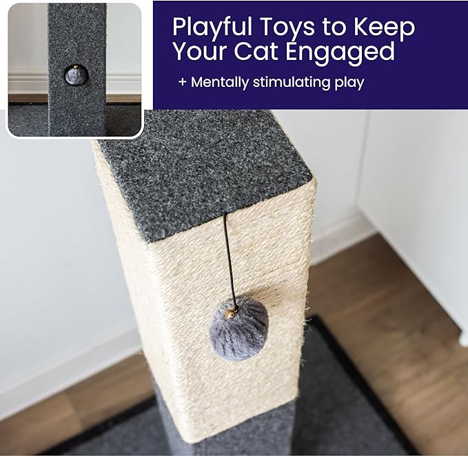 Catry Cat Scratching Post - Minimalist Style Design of Cat Tree Scratch Post with Kitten Playful Toy Allure, Good for Pets to Practice Their Claws, Multiple Size Choices
