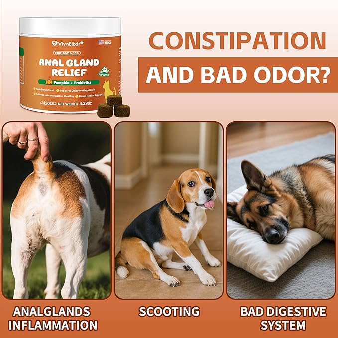 Constipated Cat - Pumpkin + Probiotic Soft Chews - Promotes Digestive Health, Regular Bowel Movements, and Intestinal Balance | Veterinarian-Approved, 120 Chewable Tablets