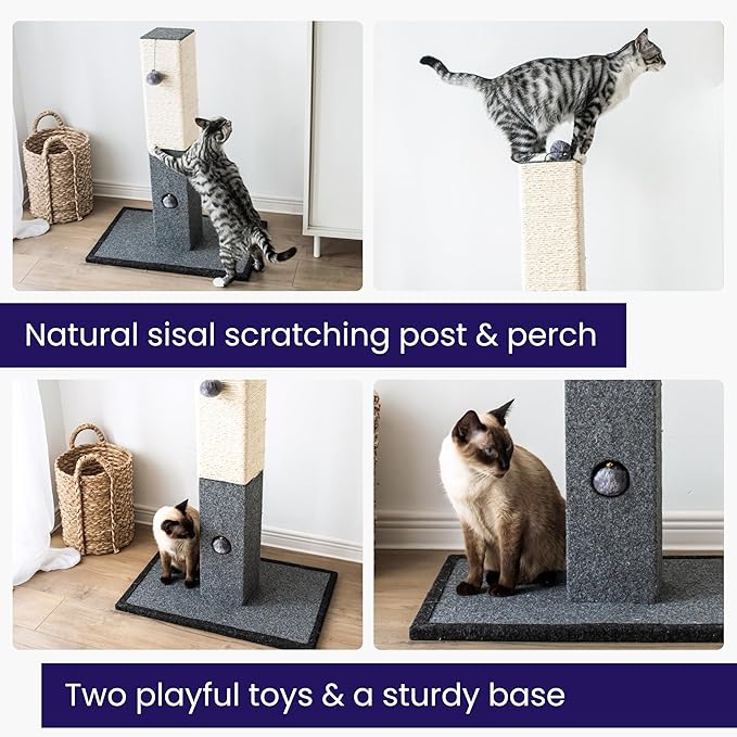 Catry Cat Scratching Post - Minimalist Style Design of Cat Tree Scratch Post with Kitten Playful Toy Allure, Good for Pets to Practice Their Claws, Multiple Size Choices