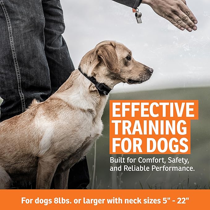 SportDOG SportHunter 1225X Remote Trainer - Rugged Dog Training Gear - Long-Range Signal Unit - Adjustable Training Collar - Quick-Charge Collar - 3/4 Mile Range