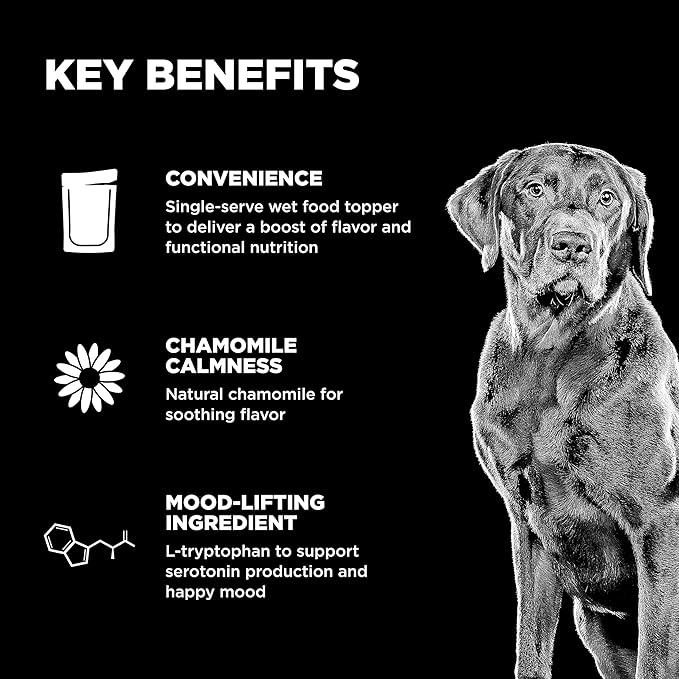 Go! Solutions Tranquility Minced Chicken with Gravy Topper for Dry Food with Broth, Healthy Wet Dog Treat to Support a Happy Mood, for Puppies, Adults, & Seniors, 2.8 oz Pouch (12 Pack)