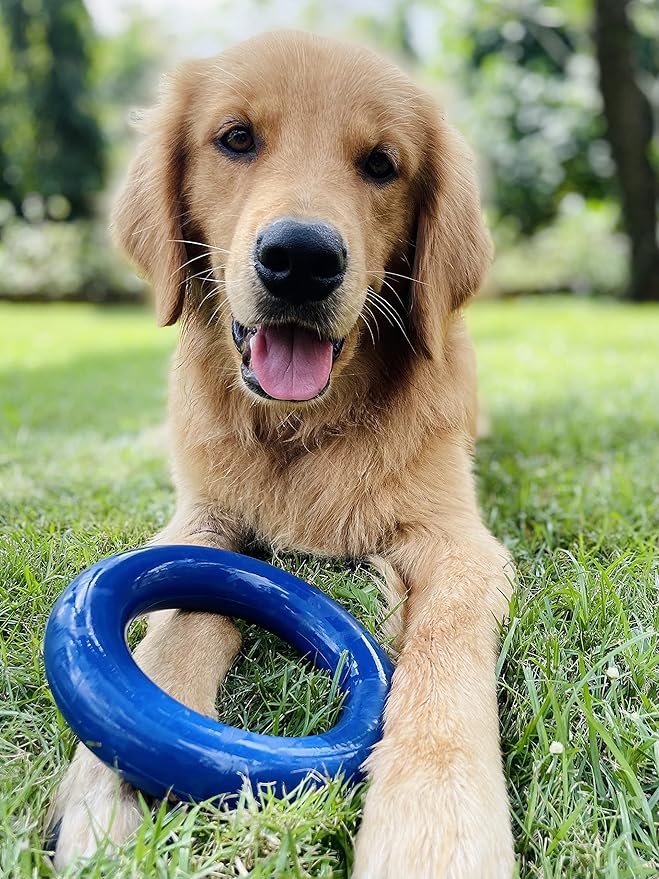 Tuff Pupper SuperChewer Tough Dog Ring Toy | Lifetime Replacement | Strong Natural Rubber | Chew Toys for Aggressive Chewers | Durable Tug Play | Strong Dog Ring Toy | Large Breed Tested