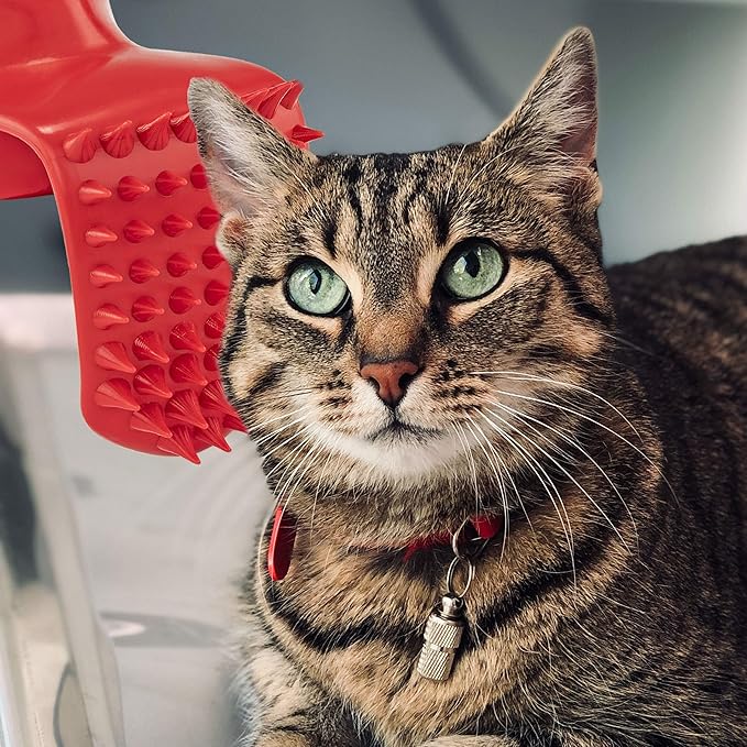 Lick'em Tongue Cat Scratcher Brush Combo Set – Funny Novelty Gag White Elephant Gift for Cat Lovers, Red, Model