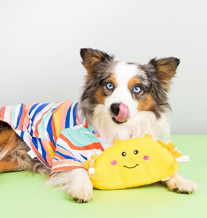 ZippyPaws NomNomz - Dog Squeaky Toys to Keep Them Busy, Funny Food Plush for Small & Medium Dogs, Cute Stuffed Puppy Toy, Pet Products, Gift for Dogs of All Breeds, Soft and Cuddly - Taco