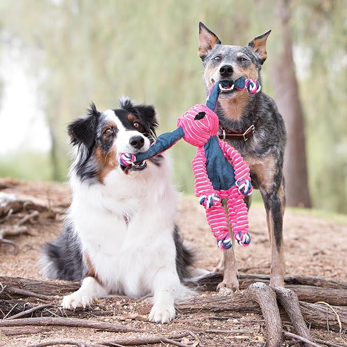 KONG Floppy Knots - Knotted Rope Dog Toy Entices Play - Tug Toy Satisfies Natural Instincts - Dog Supplies with Floppy Design & Minimal Stuffing - Fox, for Medium/Large Dogs