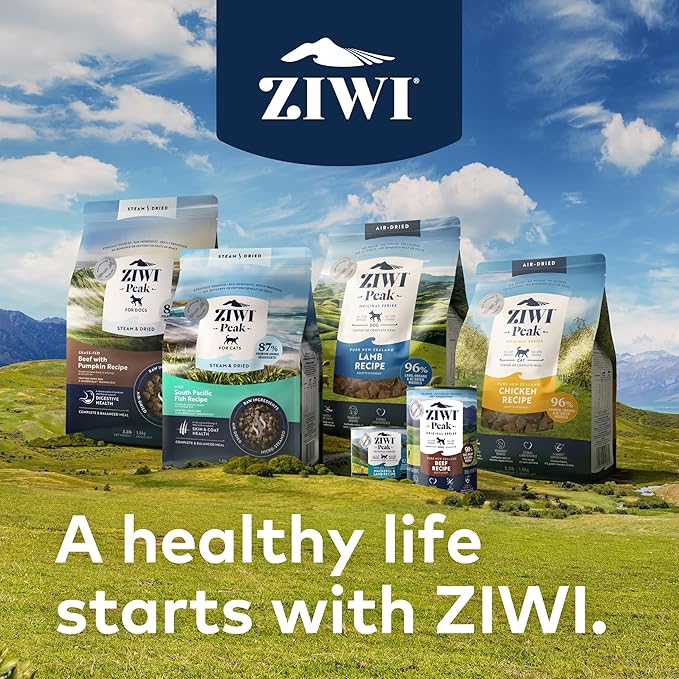 ZIWI Peak Wet Cat Food – All Natural, High Protein, Grain Free, Limited Ingredient, with Superfoods (Lamb, Case of 12, 6.5oz Cans)