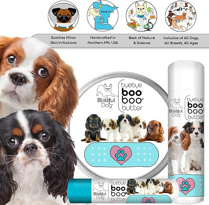 The Blissful Dog 1 oz TIN Cavalier King Charles Spaniel Booboo Butter