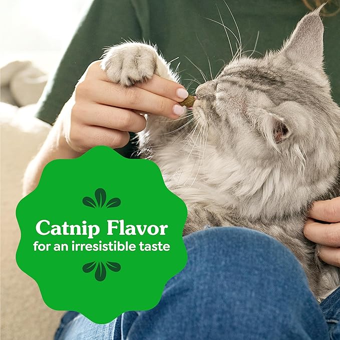 Greenies Cat Treats, Feline Veterinarian-Recommended Adult Natural Dental Treats, Catnip Flavor, 9.75 oz. Tub