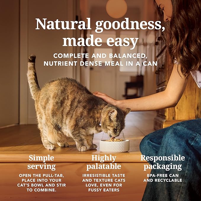 Feline Natural New Zealand Canned Catfood Wet Food, High-Meat, Low-Carb, & Grain Free Cat Food Wet, Lamb Feast, 6 oz, Pack of 12