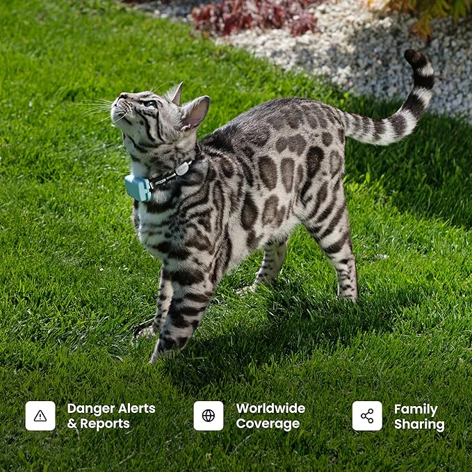 Tractive Smart Cat GPS Tracker | Real-Time Location & Wellness Monitoring for Cats 6.5 lbs+ | Territory & Location History | Up to 5-Day Battery | Breakaway Collar Included (Mint)