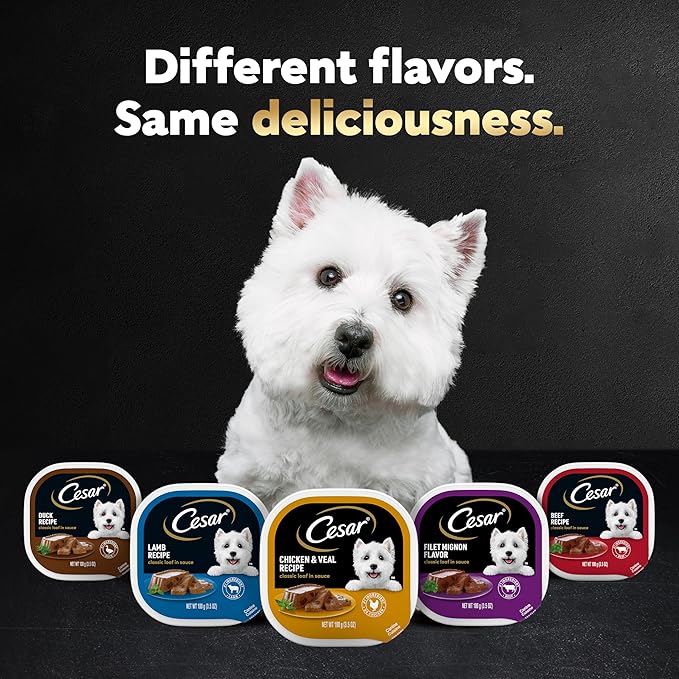 Cesar Classic Loaf in Sauce Adult Wet Dog Food Top Sirloin Flavor, Wet Food for Dogs, 3.5 oz Easy Peel Trays