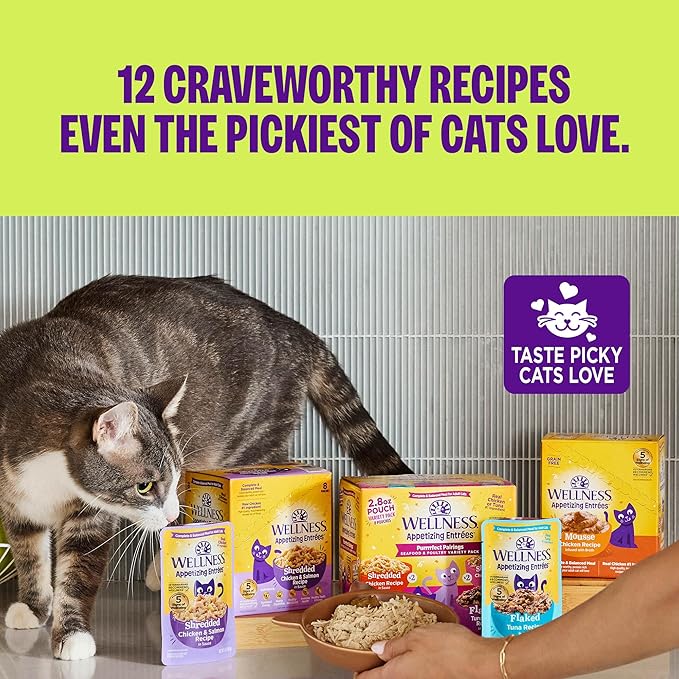 Wellness Appetizing Entrées Shredded Adult Wet Cat Food, Natural, Protein-Rich, Grain Free, 2.8 Ounce Pouch, 8 Pack (Chicken Recipe)