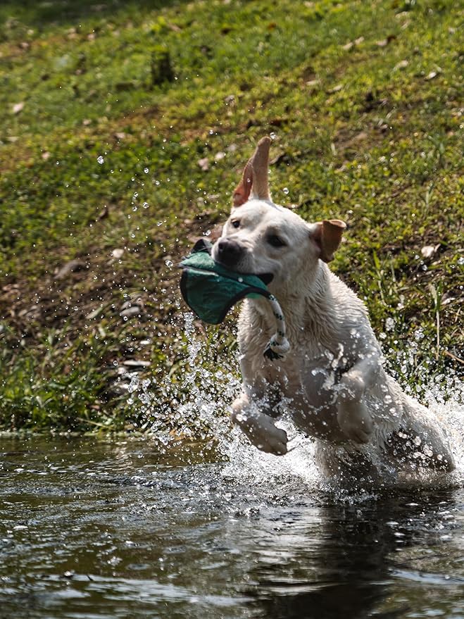 Dog Toy, Squeaky Plush Dog Toy, Rough & Tough Interactive Pet Toy, Recycled Fabric and Double Stitched (Manta)