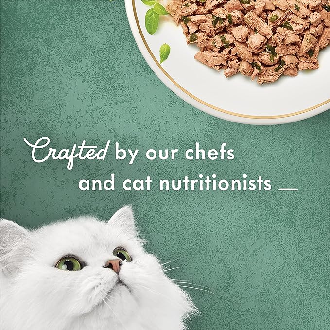 Purina Fancy Feast Wet Cat Food, Medleys Shredded Wild Salmon Fare with Spinach in a Savory Cat Food Broth - 3 oz. Can (Pack of 12)