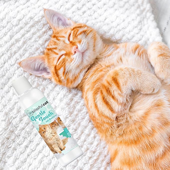 The Blissful Cat Gentle Touch Cat Shampoo, 4-Ounce