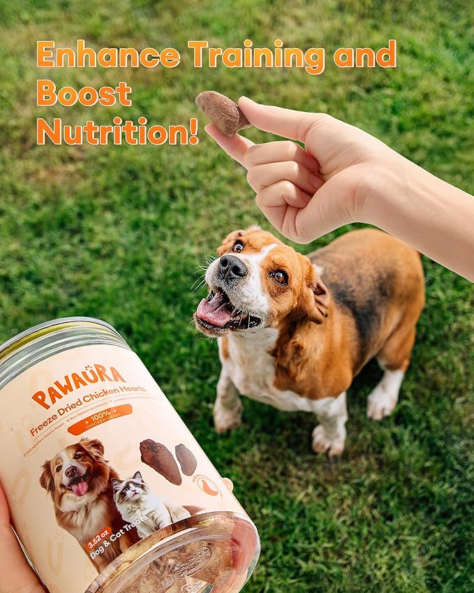 Freeze-Dried Chicken Hearts Cat & Dog Treats, 17.63 oz (1.1LB) — High Protein, Single Ingredient, Grain Free, No Additives or Preservatives, Sealed Box
