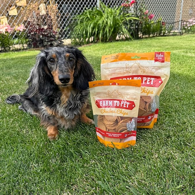 Farm To Pet - Dog Training Treats - Chicken Chips, Single Ingredient - 12 oz, Lean, All Natural, Healthy Dog Treats for Small, Medium, Large Breeds, & Puppies, Made in USA