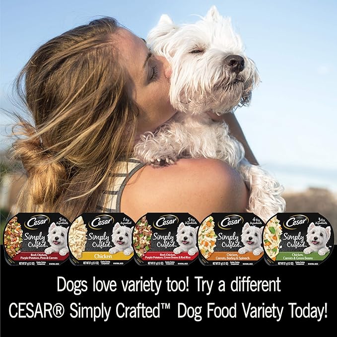 CESAR SIMPLY CRAFTED Adult Soft Wet Dog Food Meal Topper Beef, Chicken, Purple Potatoes, Green Beans & Red Rice, (10) 1.3 oz. Tubs