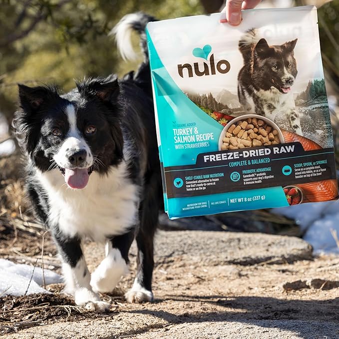 Nulo Freeze-Dried Raw Turkey Recipe with Cranberries Complete and Balanced Dry Dog Food Kibble, 18 Ounce Bag