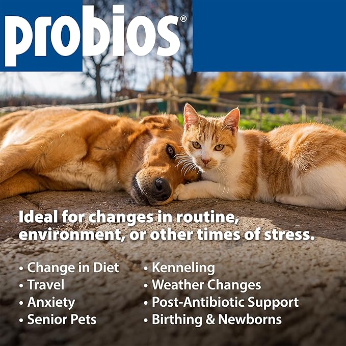 Probios Probiocin Oral Pet Gel for Dogs and Cats, Probiotic Supplement for Digestive & Immune Support, 15 g Tube (Pack of 2)