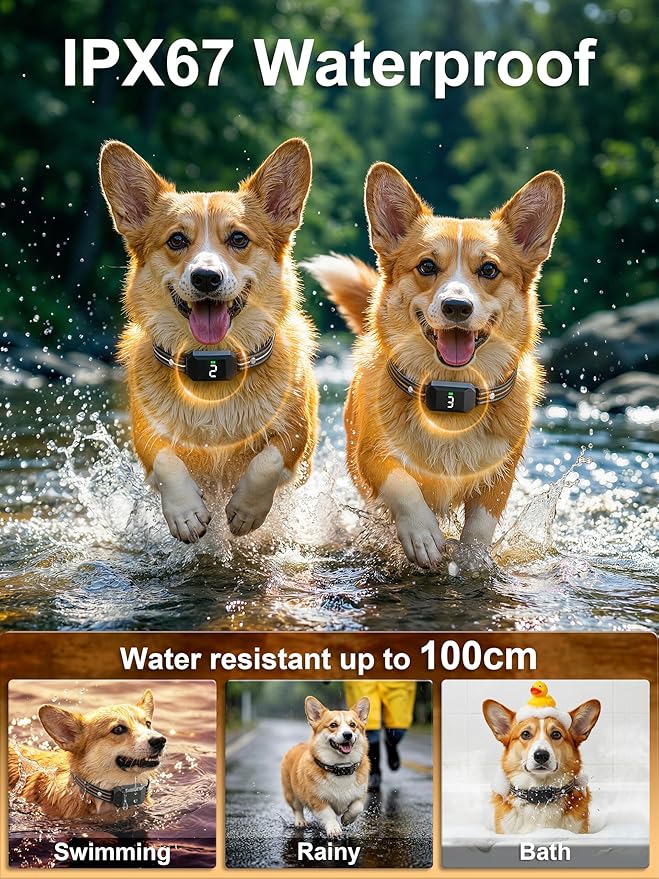 Small Shock Collar for 2 Small Dogs(5-30Lb), Dog Training Collar with Remote for Small & Medium Dogs, 3 Channels, Waterproof, Rechargeable, Collar with Beep, Vibration, Safe Shock,1300ft