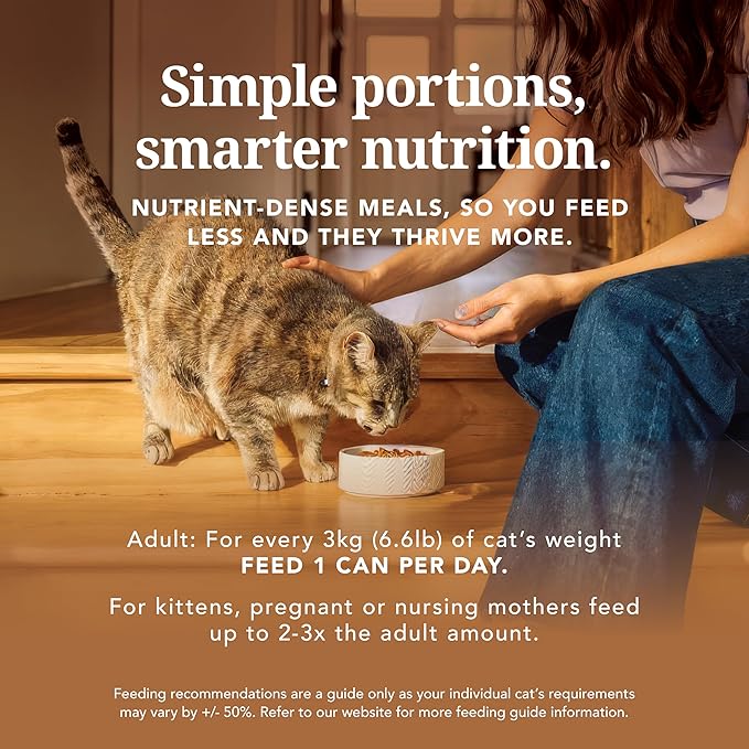 Feline Natural New Zealand Canned Catfood Wet Food, High-Meat, Low-Carb, & Grain Free Cat Food Wet, Lamb Feast, 6 oz, Pack of 12