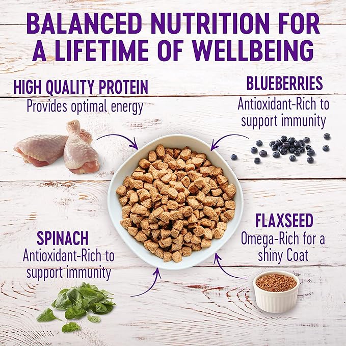 Wellness Dog Food and Treats Trial Bundle: Complete Health Dry Food, Chicken 5lb & Rewarding Life Soft Treats, Lamb and Salmon