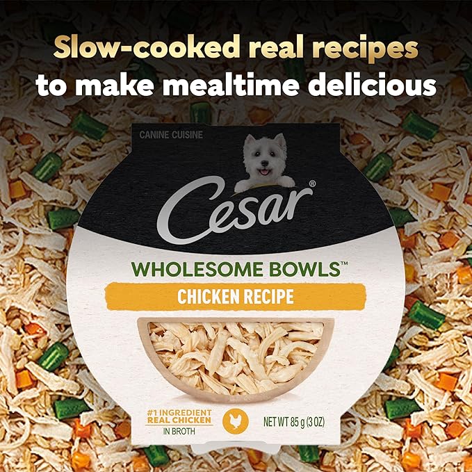 Cesar Wholesome Bowls Adult Soft Wet Dog Food Chicken Recipe, 3 oz. Bowl