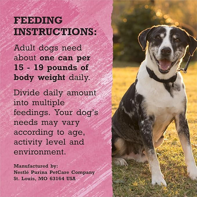 Purina Beyond High Protein, Grain Free, Natural Pate Wet Dog Food, WILD Beef, Liver & Lamb Recipe - (12) 13 oz. Cans