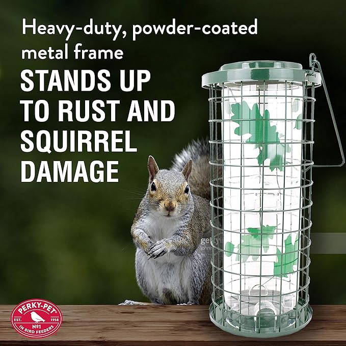 Perky-Pet Squirrel Stumper Wild Bird Feeder - Keep Squirrels Out - 8 Feeding Ports for Wild Birds - 3 lb Wild Bird Seed Capacity - 114G, Green - Decor for Outdoors
