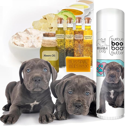 The Blissful Dog Cane Corso Boo Boo Butter, 0.50-Ounce