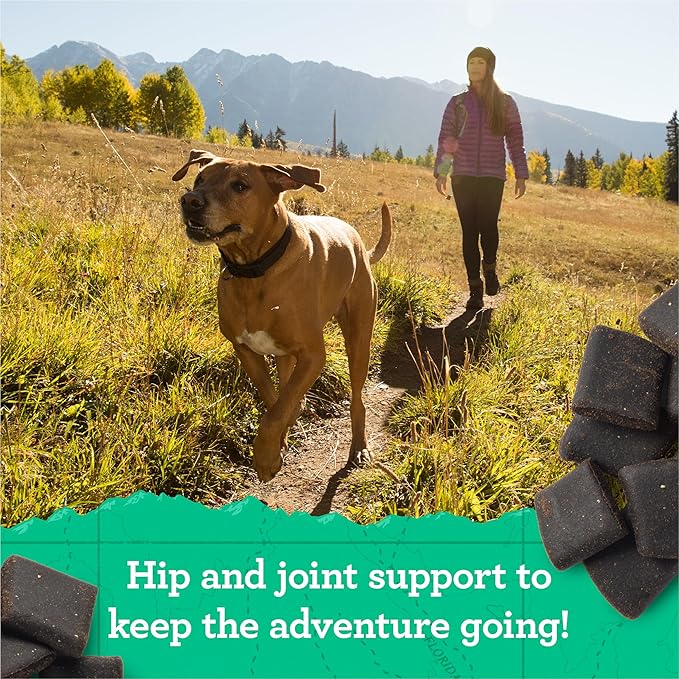 Zuke’s Hip and Joint Support Dog Treats for Adult Dogs of All Sizes, Senior Dog Treats made with Real Beef, 16 oz. Resealable Pouch - 16 oz. Bag
