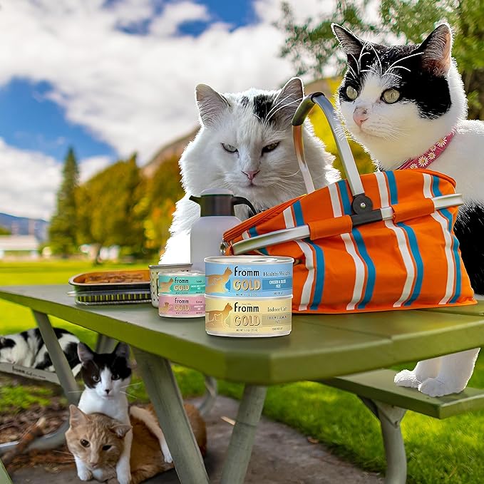 Fromm Adult Gold Chicken, Duck, & Salmon Pate Cat Food - Premium Wet Cat Food - Chicken Recipe - Case of (12) 3 oz Cans