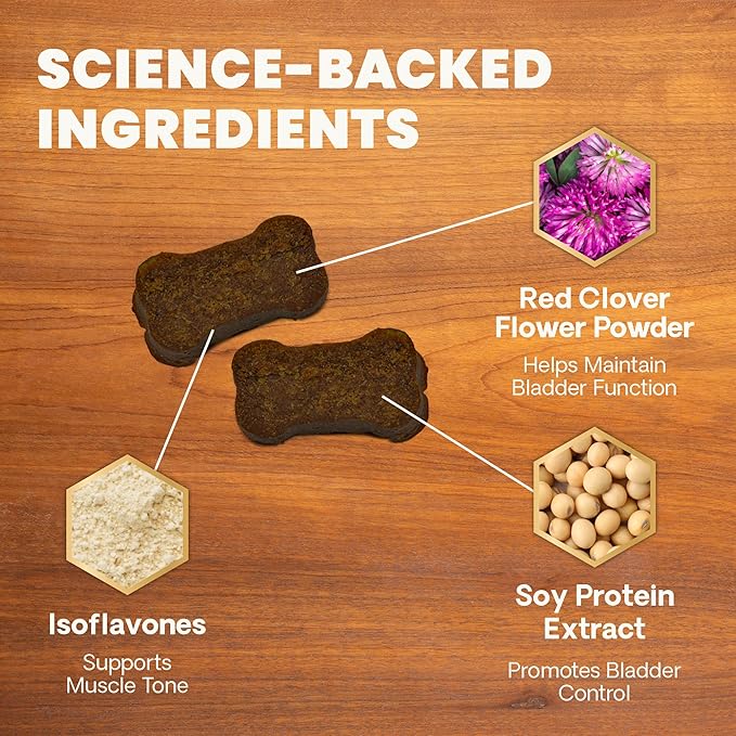 VETRISCIENCE Bladder Health Chews, Vetri Bladder Supplement for Dogs, Incontinence Support, Reduce Urine Leakage and Overactive Bladder, Soy Protein and Red Clover, Chicken, 60 Count
