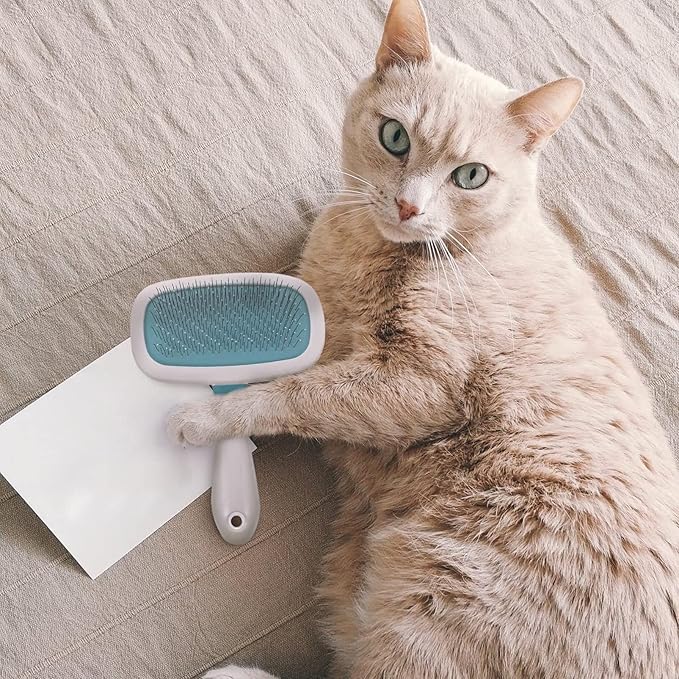 Happyyami 1Pc Pet Massage Comb Rotating Hair Detangling Tool for Cats Dogs Durable Grooming Brush for Comfortable Pet Care Easily Removes Hair Massages for Relaxation Random Color