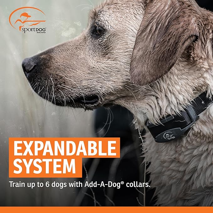 SportDOG SportHunter 1825X Remote Trainer - Long-Range Signal Unit - Quick-Charge Collar - Adjustable Training Collar - Waterproof Dog Training Gear - 1-Mile Range - Black