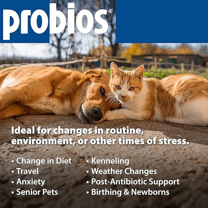 Probios Digestive Support Probiotic for All Species, Probiotics for Gut Health, Dispersible Powder, 240 gm (Pack of 2)