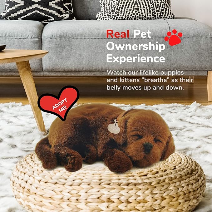 Original Petzzz Chocolate Lab, Realistic, Life-Like Stuffed Interactive Plush Toy, Electronic Pets, Companion Pet Dog with 100% Handcrafted Synthetic Fur