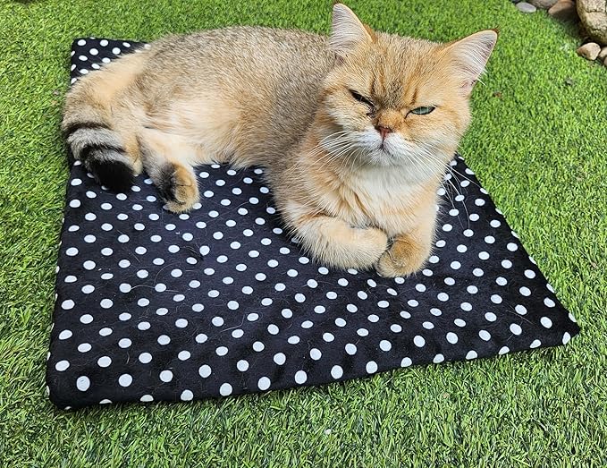 USB Heating Pad for Cat, Small Dog, 5V Safe Heated Pet Mat with 3-Temp, Hand Washable Warming Pad for Indoor Outdoor Use, Powered by Battery Operated Power Bank Car Charger (Black)