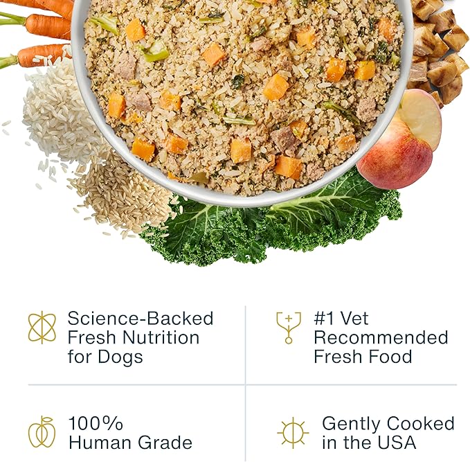 JustFoodForDogs Frozen Fresh Dog Food, Complete Meal or Topper, Chicken & White Rice Human Grade Dog Food Recipe, 18 oz (Pack of 14)