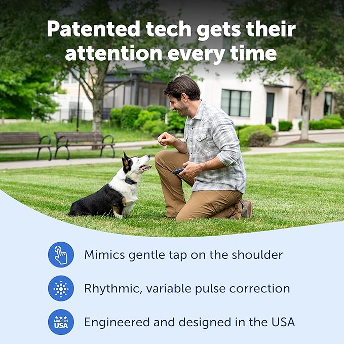 PetSafe Pro Dog Trainer with Remote - Effective Dog Training - 15 Levels of Static Correction - Waterproof Collar - Rechargeable Training Collar - Compact Remote Transmitter