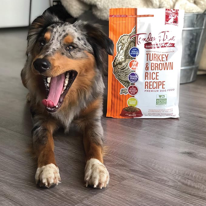 Tender & True Antibiotic-Free Turkey & Brown Rice Recipe Dog Food, 4 lb (Pack of 2)