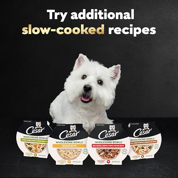 Cesar Wholesome Bowls Adult Soft Wet Dog Food Chicken Recipe, 3 oz. Bowl