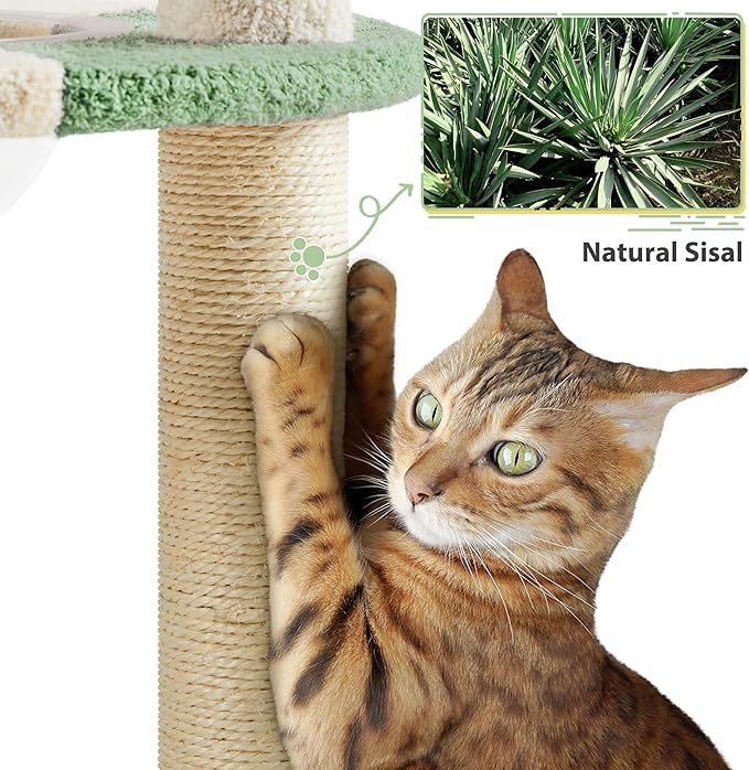 Yaheetech Cat Scratching Posts with Cat Bed, 35in Cat Scratcher with 2 Scratching Posts for Indoor Cats, Sisal Scratch Posts with Replaceable Ball for Kittens Adults Cats