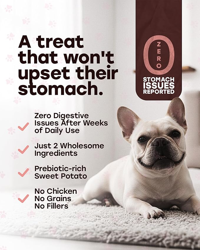 Wild Catch Treats – Freeze Dried Salmon & Sweet Potato Dog Treats – Single Protein, 43% Protein, 3% Omega-3 – Raw Training Treats & Meal Topper – Grain Free – 5.5 oz (300 Count)