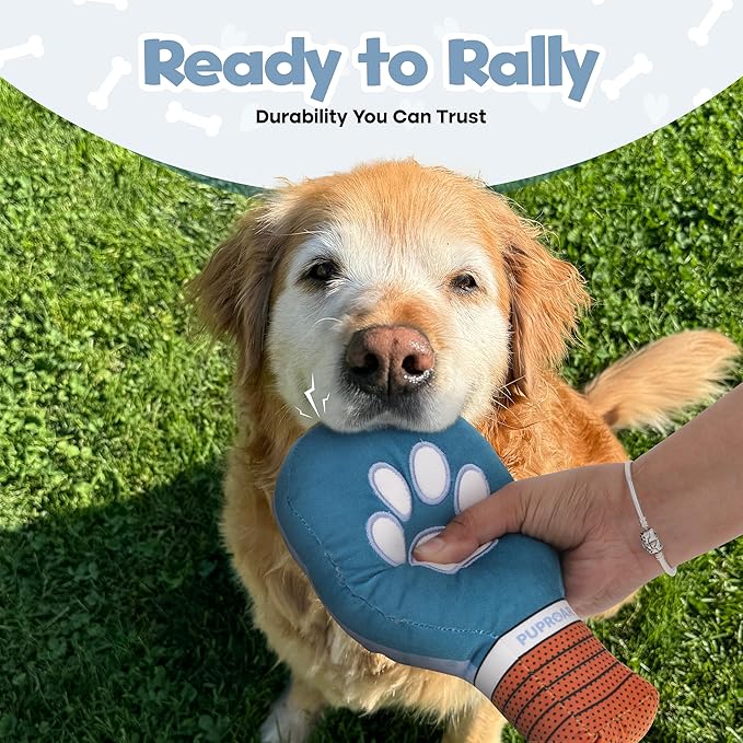 Pickleball Dog Toy – Valentines Day& Birthday Dog Toy Present & Pickleball Gift, Plush Pickle Ball Paddle with Interactive Squeaker & Crinkle, Funny Puppy Gift