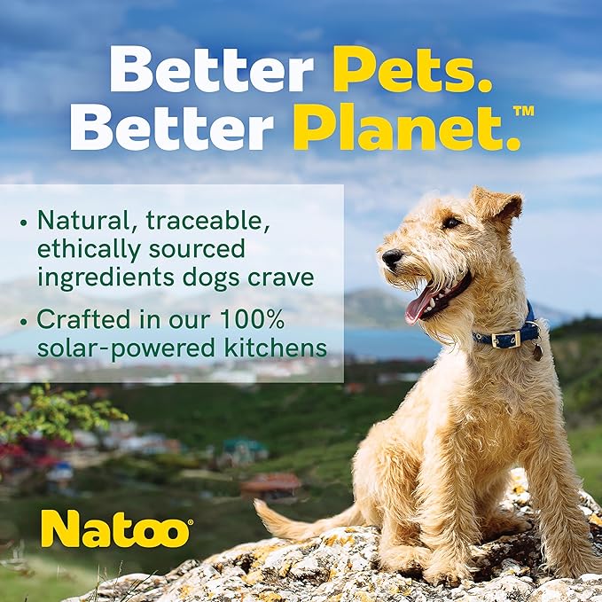 NATOO Dog Food Topper for Picky Eaters & Dog Treat (Chicken with Sweet Potato & Broccoli), Dog Toppers for Dry Food, Wet Meal Toppers for Dogs & Puppies, Limited Ingredient Dog Food, 3 oz (Case of 20)