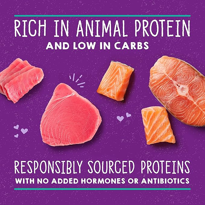 Stella & Chewy's Carnivore Cravings Savory Shreds - Wet Cat Food - High-Moisture Formula with Premium Real Meat - Perfect for Picky Eaters - Tuna & Salmon Recipe, 5.2 oz, 24 Count