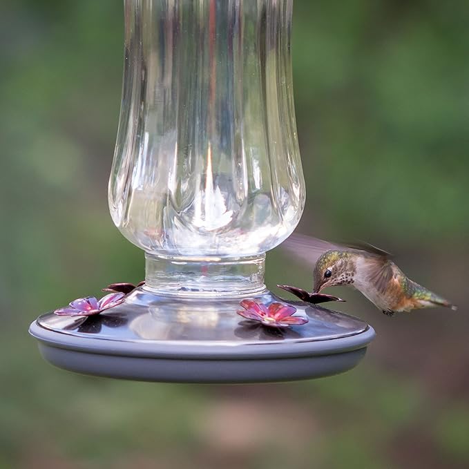 Perky-Pet Starglow Vintage Glass Hummingbird Feeder - 16 fl oz capacity - Humming Bird Feeder for Outdoors - 8132-2