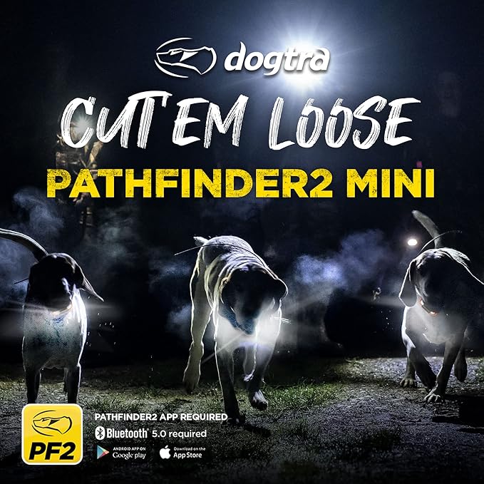 Dogtra Pathfinder2 Mini GPS Tracker eCollar + 2 Add-on Receivers (Green & Black) | 4 Mile, LED, Waterproof, Free App, No Fees, Smartwatch Control, Satellite Tracking, Multi Dogs, Smartphone Required